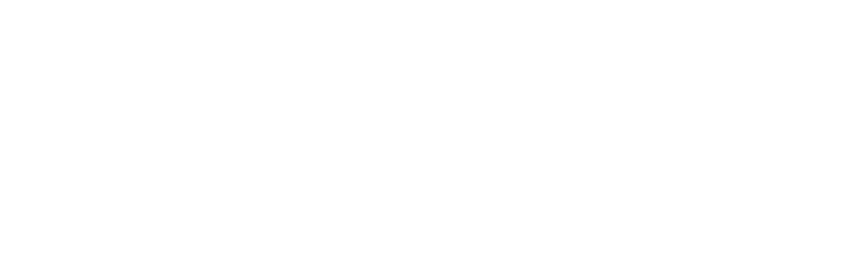 Logo_Elite